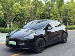 Tesla Model Y Rear-Wheel Drive - ფოტო 1