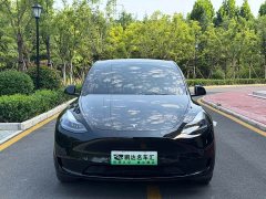 Tesla Model Y Rear-Wheel Drive - ფოტო 2