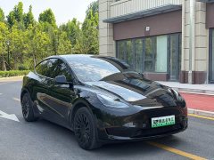 Tesla Model Y Rear-Wheel Drive - ფოტო 3