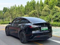 Tesla Model Y Rear-Wheel Drive - ფოტო 7