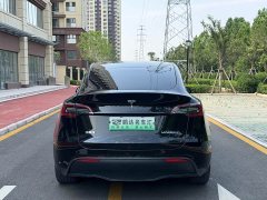 Tesla Model Y Rear-Wheel Drive - ფოტო 8