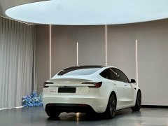 Tesla Model 3 2023 Rear-Wheel Drive - ფოტო 8