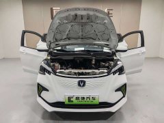 Changan Benben E-Star Pure Heart Edition Multicolor LFP - ფოტო 13