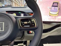 Zeekr Geely Zeekr MIX 2025 Smart Driving Edition - ფოტო 9
