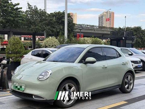 2022 ORA Good Cat 400km Standard Range Deluxe Edition LFP Battery - ავტომობილი ჩინეთიდან