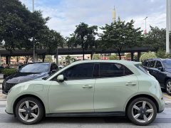 ORA Good Cat 400km Standard Range Deluxe Edition LFP Battery - ფოტო 5