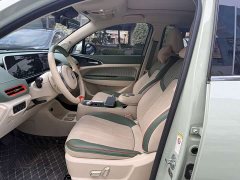 ORA Good Cat 400km Standard Range Deluxe Edition LFP Battery - ფოტო 6