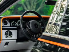 Rolls-Royce 2024 Long Wheelbase Series II - ფოტო 17