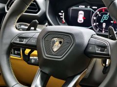 Lamborghini Urus SE 2025 4.0T Standard Edition - ფოტო 7