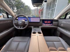 IM Motors Zhiji LS6 Pure Electric Max - photo 14