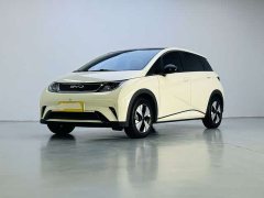 BYD Dolphin 420km Fashion Edition - ფოტო 1