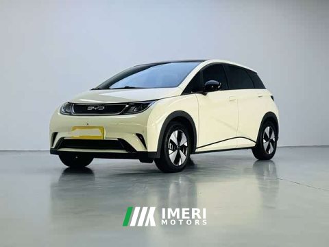 2023 BYD Dolphin 420km Fashion Edition - ავტომობილი ჩინეთიდან
