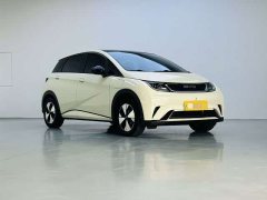 BYD Dolphin 420km Fashion Edition - ფოტო 3