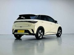 BYD Dolphin 420km Fashion Edition - ფოტო 9