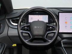 BYD Dolphin 07 DM-i 1.5L 125km Elite - ფოტო 14