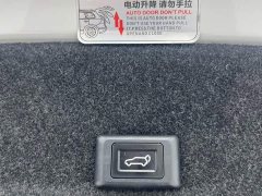 BMW 3 Series Facelift 320Li M Sport Package - ფოტო 19