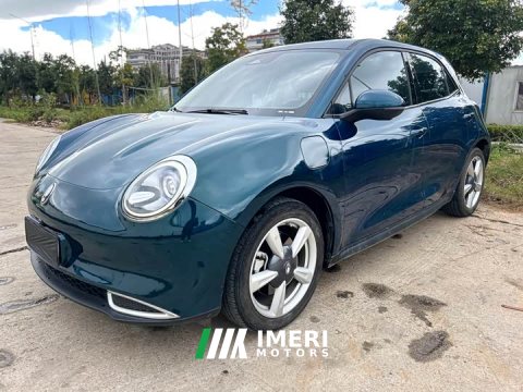 2023 ORA Good Cat 2022 400km Standard Range Luxury Lithium Iron Phosphate - ავტომობილი ჩინეთიდან