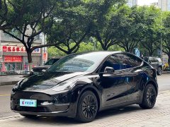 Tesla Model Y Long Range All-Wheel Drive - ფოტო 1