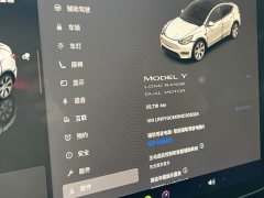 Tesla Model Y Long Range All-Wheel Drive - ფოტო 13