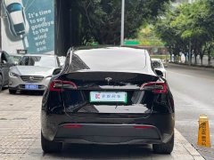 Tesla Model Y Long Range All-Wheel Drive - ფოტო 3