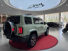Tank 300 City Edition 2.0T Stylish - ფოტო 5