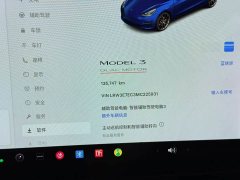 Tesla Model 3 Performance All-Wheel Drive - ფოტო 19