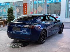 Tesla Model 3 Performance All-Wheel Drive - ფოტო 7