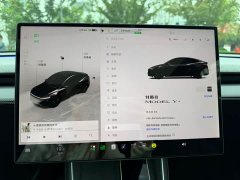 Tesla Model Y Long Range Rear-Wheel Drive - ფოტო 11