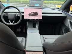 Tesla Model Y Long Range Rear-Wheel Drive - ფოტო 9