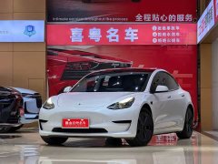 Tesla Model 3 Facelift Standard Range RWD Upgrade 3D1 - ფოტო 1
