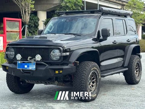 2023 Tank 300 Off-Road Edition 2.0T Conqueror - ავტომობილი ჩინეთიდან