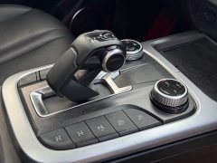 Tank 300 Off-Road Edition 2.0T Conqueror - ფოტო 13