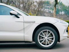 Aston Martin DBX 3.0T Straight-Six - ფოტო 6