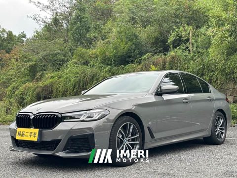 2021 BMW 5 Series (Imported) 525i M Sport Package - car from China