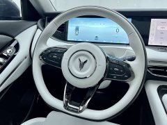 Voyah Lantu FREE 318 259km AWD Explorer Edition - ფოტო 13