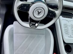 Voyah Lantu FREE 318 259km AWD Explorer Edition - ფოტო 16