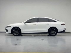 SAIC MG D7 DMH 125km World Champion Edition - ფოტო 18