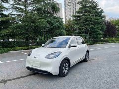 Wuling Binguo 333km Joy Edition - ფოტო 1