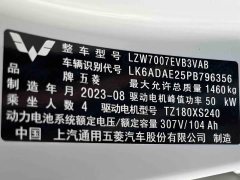 Wuling Binguo 333km Joy Edition - ფოტო 14