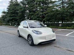Wuling Binguo 333km Joy Edition - ფოტო 2