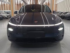 Tesla Model Y Rear-Wheel Drive - ფოტო 2