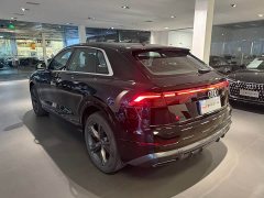 Audi Q8 2024 55 TFSI Luxury Sport - ფოტო 4