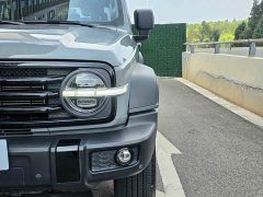 Tank 300 Off-Road Edition 2.0T Conqueror - ფოტო 7