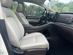 GAC Aion M8 Lingxiu Series 390T Luxury - ფოტო 13