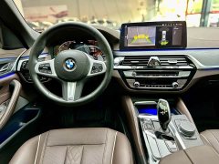 BMW 5 Series Facelift 530Li Premier M Sport Package - ფოტო 6