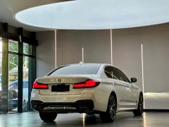 BMW 5 Series Facelift 530Li Premier M Sport Package - ფოტო 8