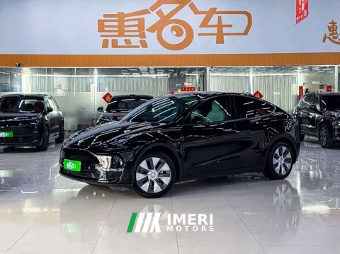 2022 Tesla Model Y 2021 Standard Range RWD - ავტომობილი ჩინეთიდან