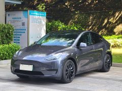 Tesla Model Y Rear-Wheel Drive - ფოტო 1
