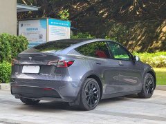 Tesla Model Y Rear-Wheel Drive - ფოტო 14