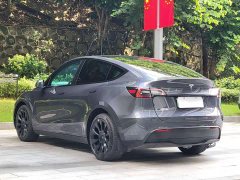 Tesla Model Y Rear-Wheel Drive - ფოტო 16